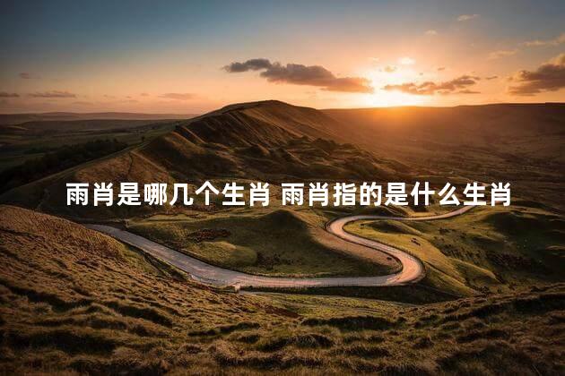 雨肖是哪几个生肖 雨肖指的是什么生肖